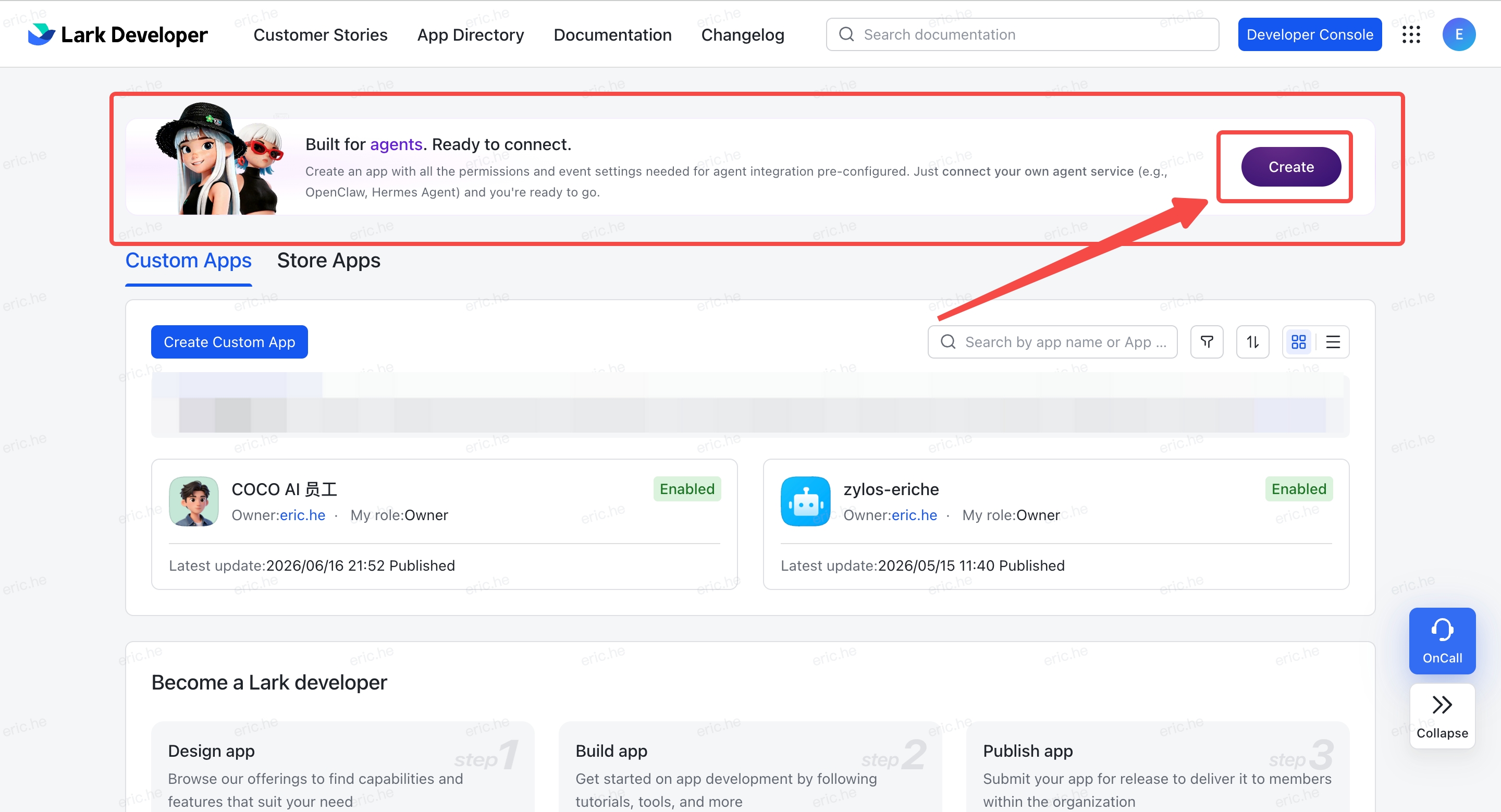 Lark Developer Backend — click Create Now for the Smart Agent app