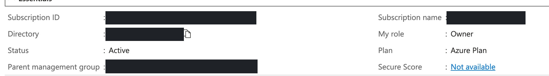 Subscription list — status Active, with your role shown