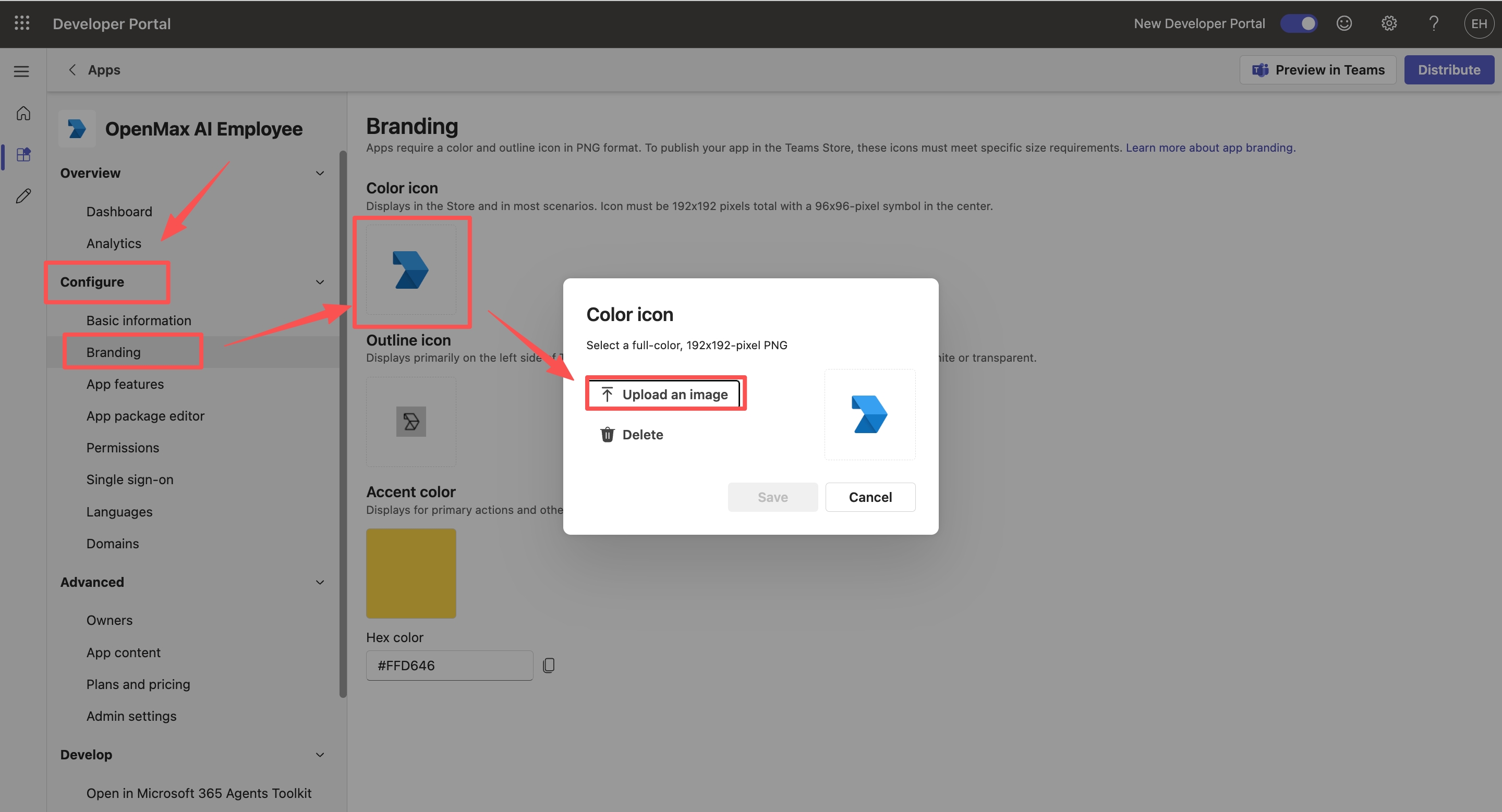 Configure — Branding — color icon and outline icon